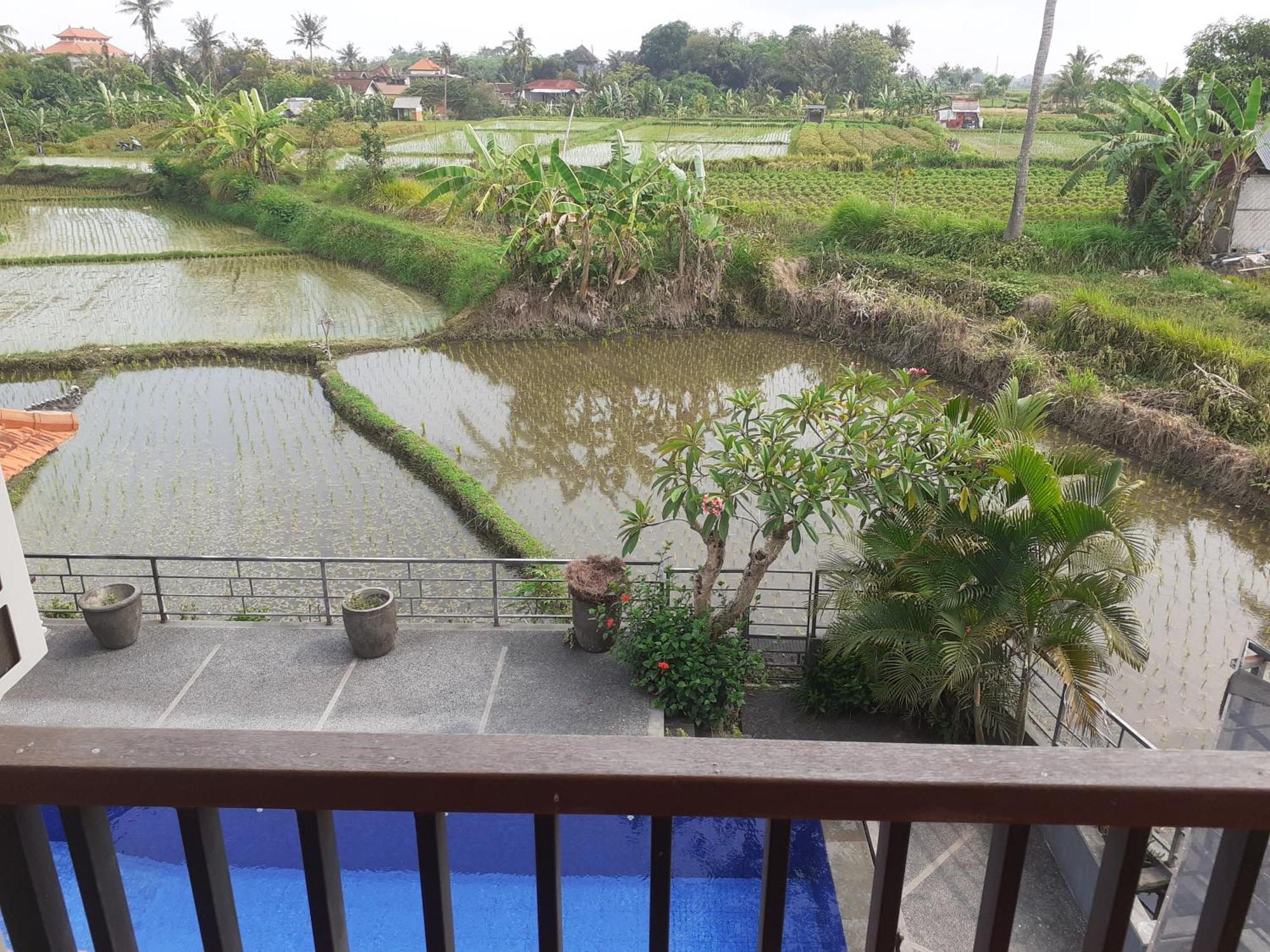 Appartement Griya Bun Sari à Sukawati Extérieur photo